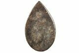 Stony Chondrite Cabochon ( g) - Meteorite #238209-1